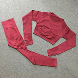 Seamless Yoga Gym Workout Set Sport Suit