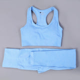 Seamless Yoga Set Fitness Sports Suits /GYM workout Cloths