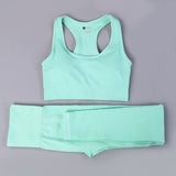 Seamless Yoga Set Fitness Sports Suits /GYM workout Cloths