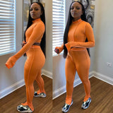 Two Piece Tracksuit Women Sportwear Crop Top and Leggings Pants fitness